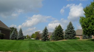 SAM_0834